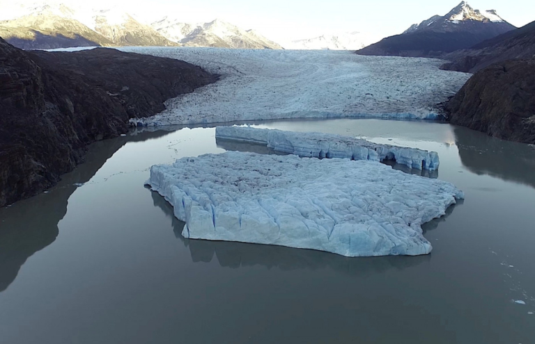 frio-extremo-na-patagonia:-temperaturas-de-15°c-causam-impacto-na-fauna-e-congelam-animais