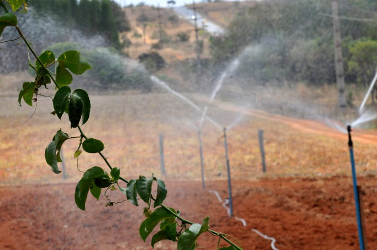 pf-apreendeu-em-seis-anos-273-mil-quilos-de-agrotoxicos-irregulares-no-brasil