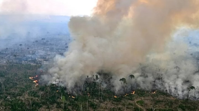 fogo-faz-desmatamento-na-amazonia-em-maio-subir-92%-em-relacao-a-2024